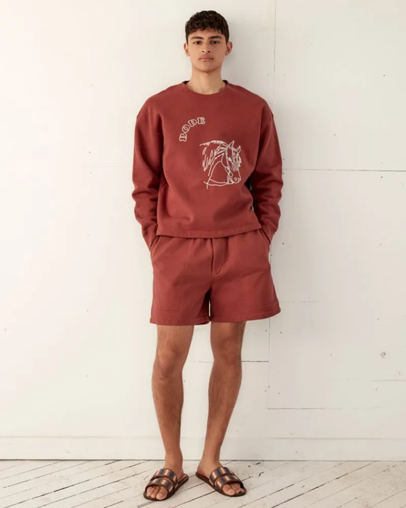 Cut & Sew<BODE Embroidered Pony Crewneck Brown