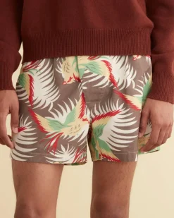Shorts<BODE Sun Conure Boxers Multi
